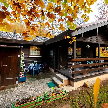 Haus 57 Wald Eck By Interhome * Bad Arolsen